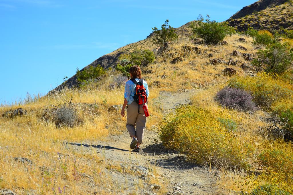 Blue Skies PS Permit #607